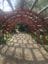 Eden Gardens + Swane's Nursery Tour Image -5b2c6c1e6ac24